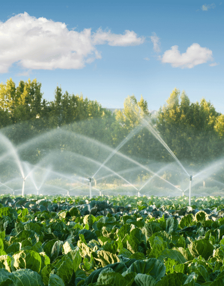 Irrigation & Drainage